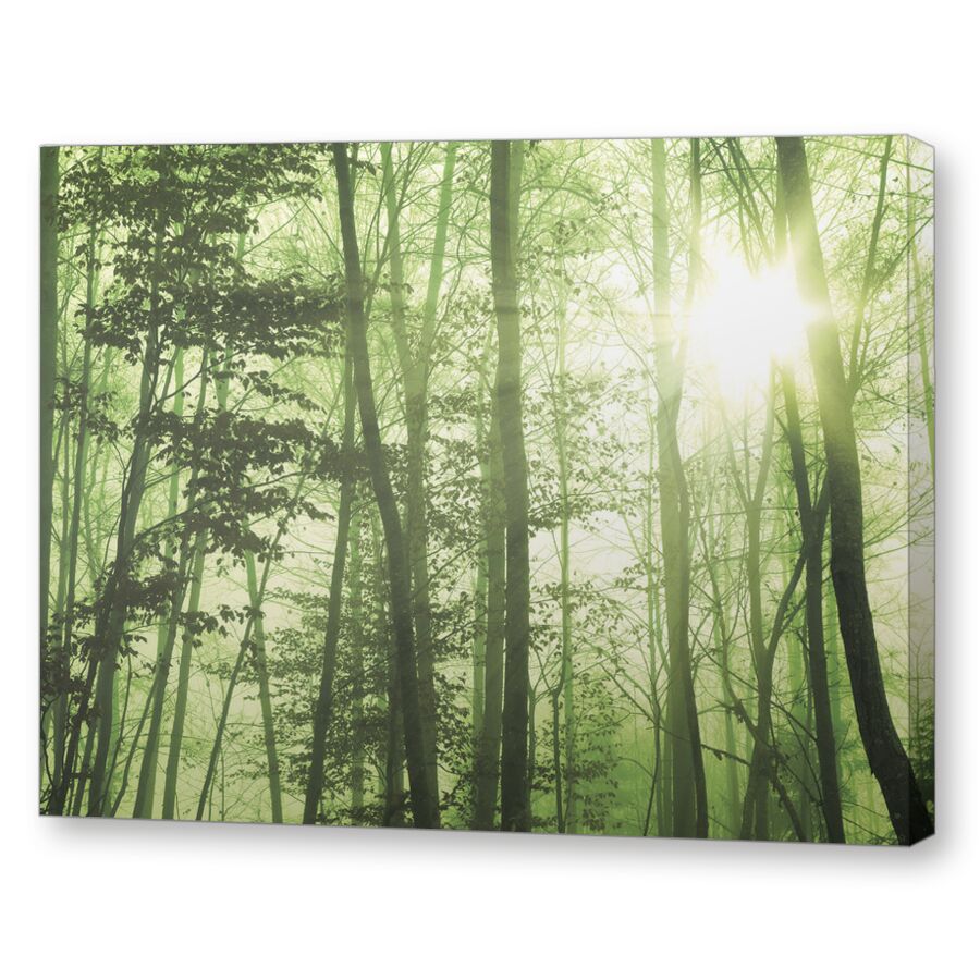 Зелёный лес на подрамнике