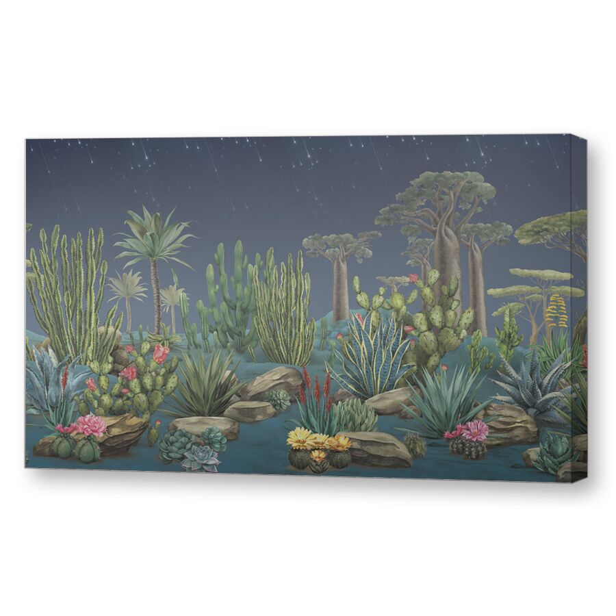 Desert flora night на подрамнике