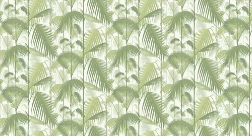 Bamboo