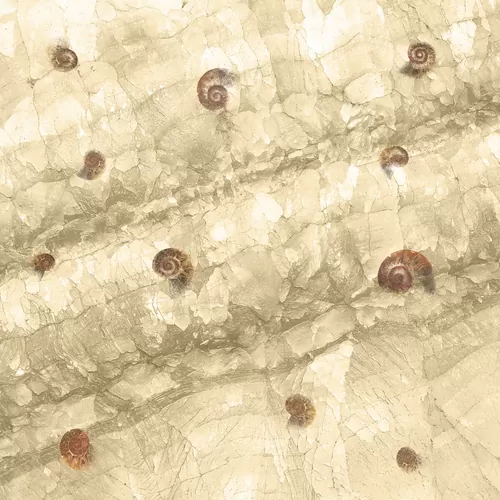 Мрамор Перлато