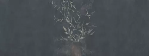 Alberi