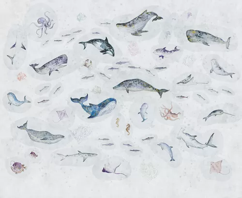 Marine Life