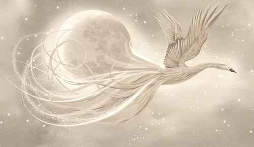 Phoenix in the sky