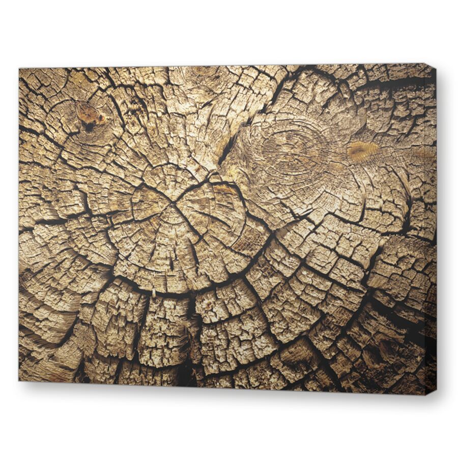 Текстура старого дерева на подрамнике