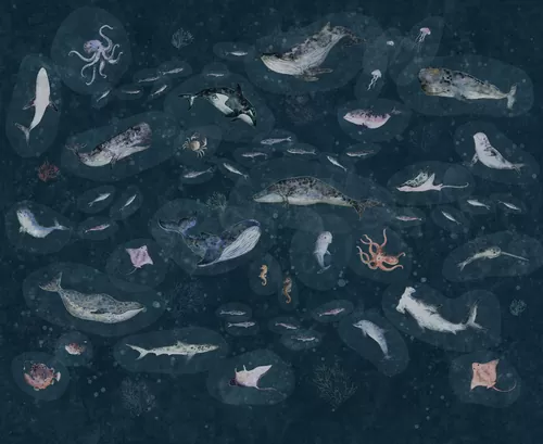 Marine Life