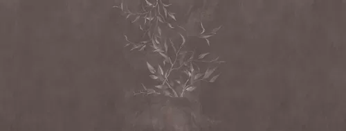 Alberi