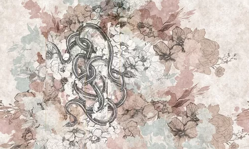 Adormidera