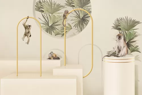 Monkeys in space