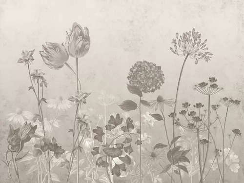 Grey wildflowers
