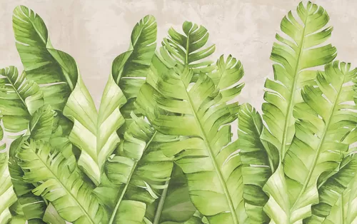 Banana leaves lime