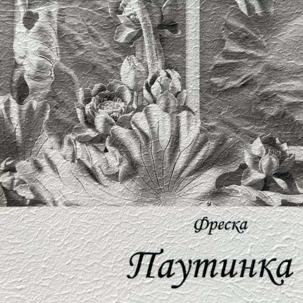 Паутинка